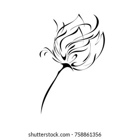 one stylized rose in black lines on a white background