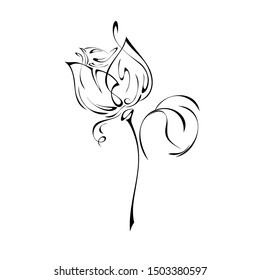 one stylized rose Bud on a short stem with a single leaf in black lines on a white background