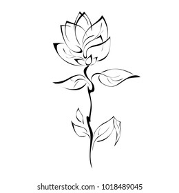 one stylized rose with leaves in black lines on a white background
