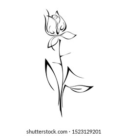 one stylized rosebud on a stem with leaves and thorns in black lines on a white background