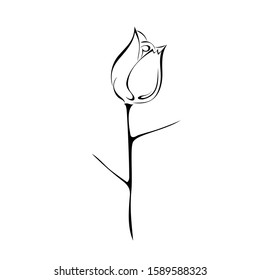 one stylized rosebud on a stem with  thorns in black lines on a white background