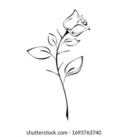 one stylized rosebud on a stem with leaves and thorns in black lines on a white background