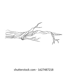 one stylized tree branch. isolated on a white background. Hand drawing sketch.