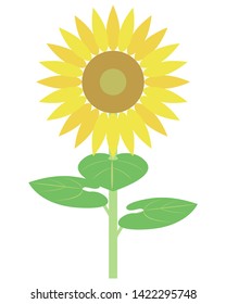 one sun flower （ flower and leaves ）