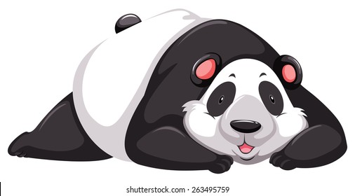 One tired panda bear on a white background