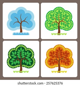 One tree at different times of the year