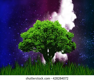 One tree on a background of the starry night sky