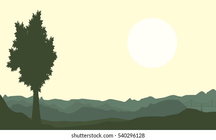 One tree on hill backgrounds of scenery