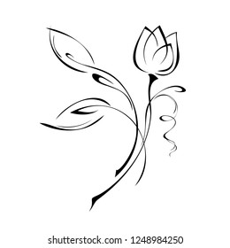 one Tulip Bud on a stem with leaves in black lines on white background
