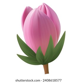 One tulip bud. Pink flower. Spring plant, botany and nature in the garden and field. Herbarium for decoration. Realistic closed bud isolated on white background. Vector 3D illustration.