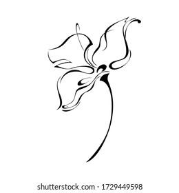 one unique stylized blooming flower on a short stalk without leaves in black lines on a white background