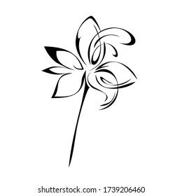 one unique stylized blooming flower on a short stalk without leaves in black lines on a white background