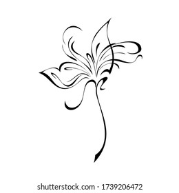 one unique stylized blooming flower on a short stalk without leaves in black lines on a white background