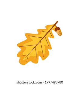 One vector autumn yellow oak leaf with an acorn in cartoon style on a white background. The world of nature