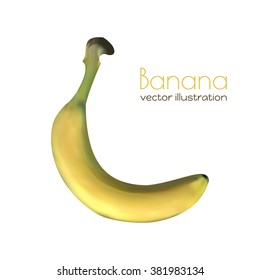 One vector banana isolated over white background. Mesh illustration.