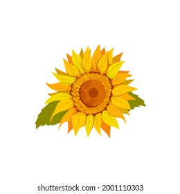 One vector beautiful sunny sunflower in cartoon style, isolated on a white background