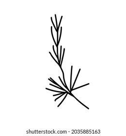 One Vector Botanical Illustration Branch Plant with black line on white background.Floral,Summer hand drawn doodle style picture.Designs for packaging,social media,web,cards, posters,invitations.