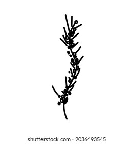 One Vector Botanical Illustration Branch Plant with black line on white background.Floral,Summer hand drawn doodle style picture.Designs for packaging,social media,web,cards, posters,invitations.