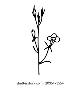 One Vector Botanical Illustration Branch Plant with black line on white background.Floral,Summer hand drawn doodle style picture.Designs for packaging,social media,web,cards, posters,invitations.