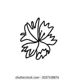 One Vector Botanical Illustration Cornflower with black line on white background.Floral,Summer hand drawn doodle style picture.Designs for packaging,social media,web,cards, posters,invitations.