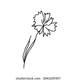 One Vector Botanical Illustration Cornflower with black line on white background.Floral,Summer hand drawn doodle style picture.Designs for packaging,social media,web,cards, posters,invitations.