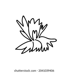 One Vector Botanical Illustration Cornflower with black line on white background.Floral,Summer hand drawn doodle style picture.Designs for packaging,social media,web,cards, posters,invitations.