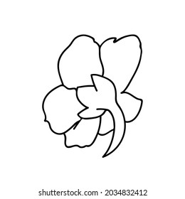 One Vector Botanical Illustration Nasturtium with black line on white background.Floral,Summer hand drawn doodle style picture.Designs for packaging,social media,web,cards, posters,invitations.