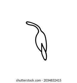 One Vector Botanical Illustration Nasturtium with black line on white background.Floral,Summer hand drawn doodle style picture.Designs for packaging,social media,web,cards, posters,invitations.