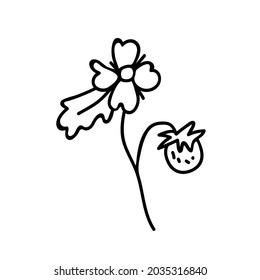 One Vector Botanical Illustration Wild Srawberry with black line on white background.Floral,Summer hand drawn doodle style picture.Designs for packaging,social media,web,cards, posters,invitations.