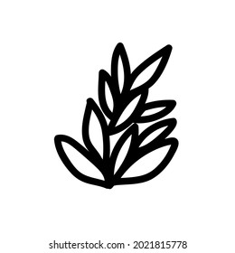 One vector Christmas doodle with a plant branch.Holiday simple illustration with black line on isolated white background.Designs for cards, packages,social media,web,stickers, logos