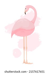 One vector elegant pale pink flamingo with curved neck looks over its back. Rear view of bird on light abstract paint stots background. Exotic animal profile. Wild nature. Bright flat illustration.