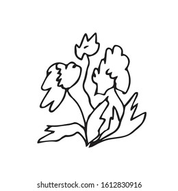 One vector flowers hand drawn clip art. Black gardening illustration line art on a white isolated background. Design for wrapping paper, stickers, cards, packages and coloring.