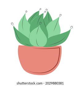 Un vector planta de cactus de hojas verdes caseras en una olla rosa al estilo de doodle, aislada en fondo blanco