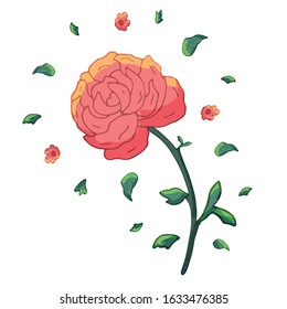One vector red rose flower on a white background.