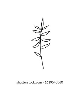 One vector sprout with hand drawn clip art leaves. Black gardening illustration line art on a white isolated background. Design for wrapping paper, stickers, cards, packages and coloring.