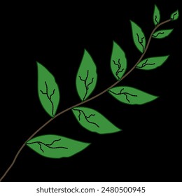 One vine-like leaf with many green leaves, both small and large, on a black background, used as a fabric pattern. or wallpaper work