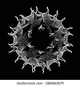 One virus drawing white lines on black background Bacteria and Germs Cancer Microbial Cells Fungi Vector Illustration