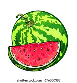 One watermelon with slice, vector illustration isolated on white background