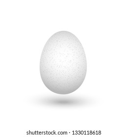 One white chicken egg with shadow isolated on white background close up on white background. Vector illustration.