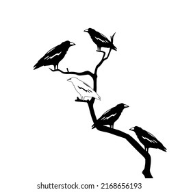 One white crow among all blacks crows sitting on a branch. Not like everyone else concept. Other thinking. Vector illustration.