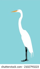 one white egret standing alone