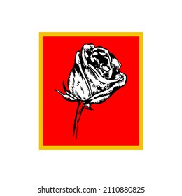 Eine weiße Rose. Vektorgrafik.