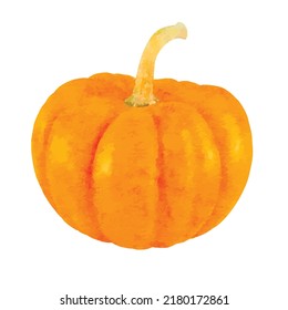 One whole big pumpkin, isolated on white background. Watercolor style. Realistic Vector illustration. Clipart