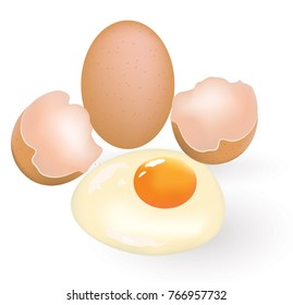 One whole and  one cracked egg, vector