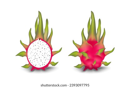 One whole dragon fruit and half fruit isolated on white background. Vector illustration EPS 10.