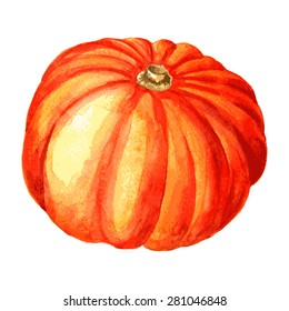 one whole orange pumpkin drawing by watercolor, hand drawn vector illustration