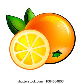 One whole orange with a slice on a white background. Vector illustration with citrus