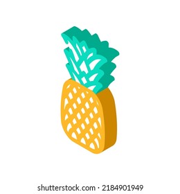 one whole pineapple isometric icon vector. one whole pineapple sign. isolated symbol illustration