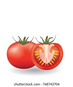 One whole and one sliced tomato, vector
