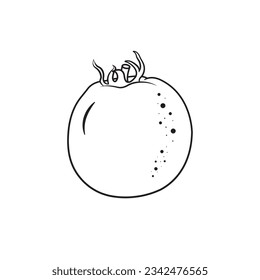 One Whole Tomato Outline Line Art Of Tomato On White Background Vector Illustration